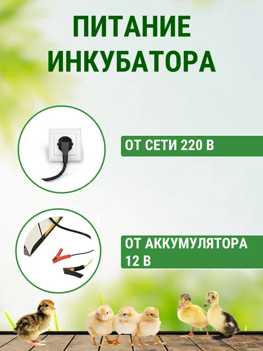 Подворье Инкубатор OVO на 78 яиц (100% автомат), белый, фото 5