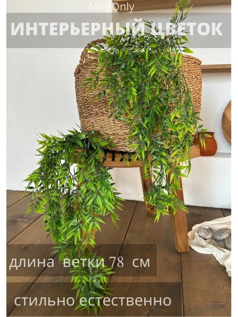 Лианы для дачного сада — виды, посадка и уход🌿