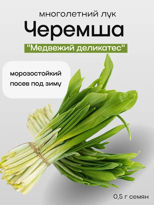 ДАЧА ОНЛАЙН ЧЕРЕМША Деликатес 0,2г семян, 0,2 г