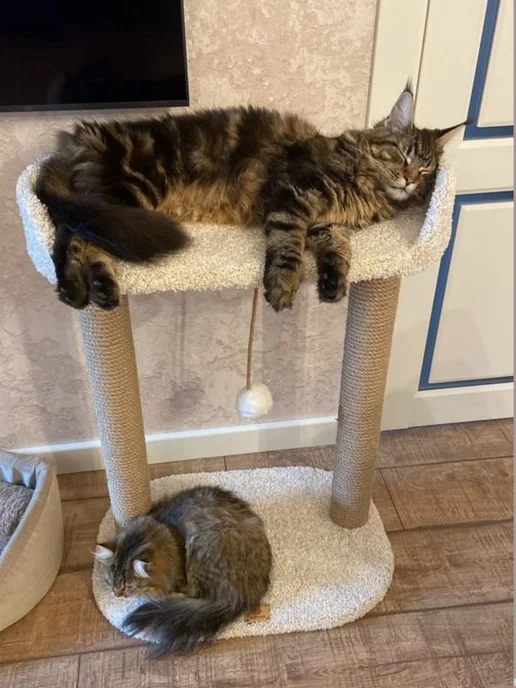 Моя Котя Когтеточка для кошки, белый