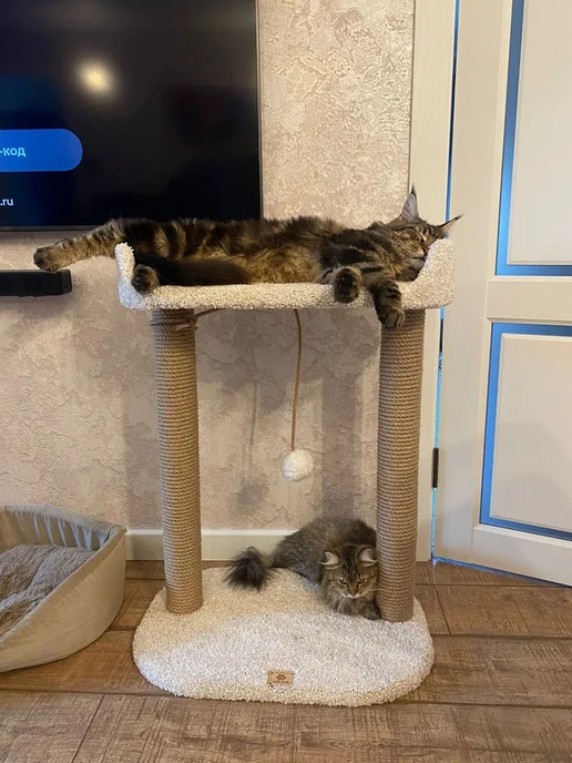 Моя Котя Когтеточка для кошки, белый, фото 2
