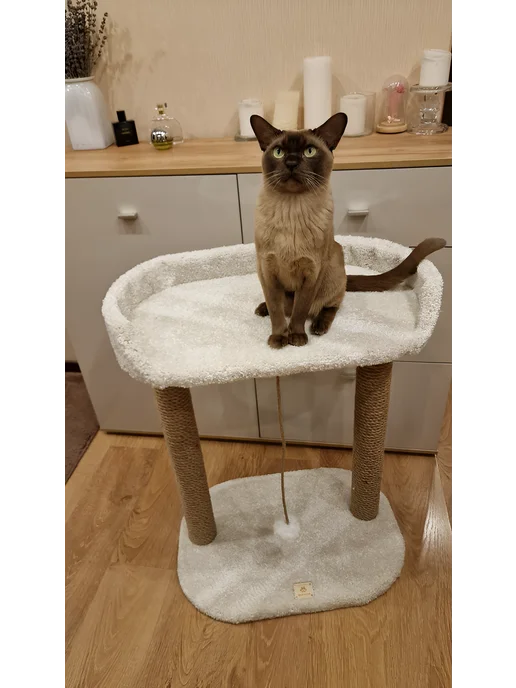 Моя Котя Когтеточка для кошки, белый, фото 7
