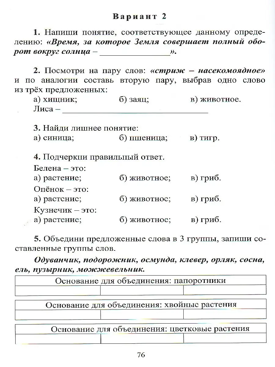 Подготовка к олимпиадам разного уровня 3 класс Учитель 75319189 купить в  интернет-магазине Wildberries