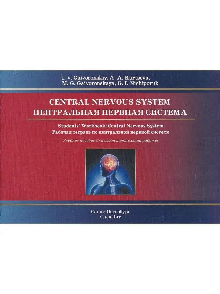 Центральная нервная система. Рабочая тетрадь на английском я
