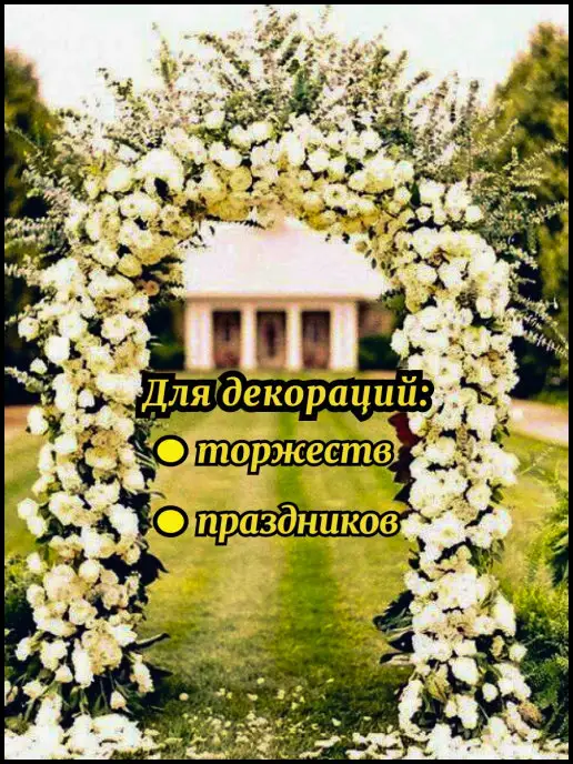 Sadovid Арка садовая металлическая, зеленый, фото 4
