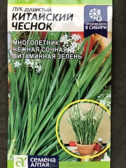 Семена лук Китайский Чеснок ДАЧА ОНЛАЙН 75489349 купить за 121 ₽ в интернет-магазине Wildberries