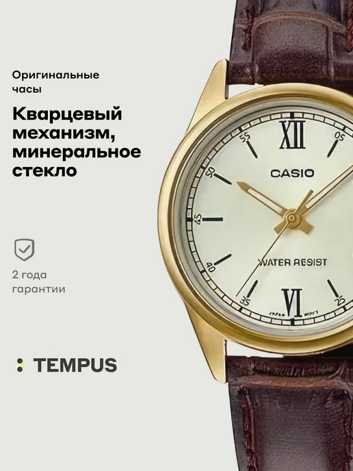Casio Часы Collection LTP-V005GL-9B, желтый