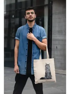 Сумка шоппер Кот, Кошка, Котенок, Мейн-кун (кошки) Aksisur/Shopper 75551243 купить за 304 ₽ в интернет-магазине Wildberries