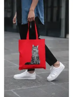 Сумка шоппер Кот, Кошка, Котенок, Мейн-кун (кошки) Aksisur/Shopper 75551244 купить за 304 ₽ в интернет-магазине Wildberries