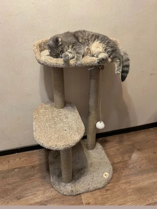 Моя Котя Когтеточка для кошки, бежевый, фото 2