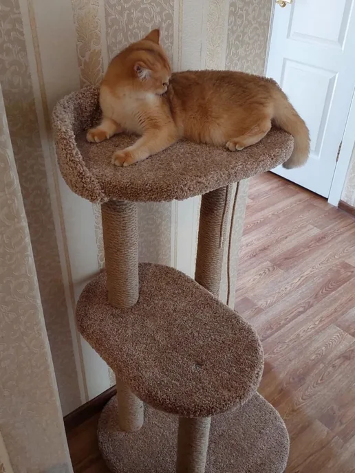Моя Котя Когтеточка для кошки, бежевый, фото 5