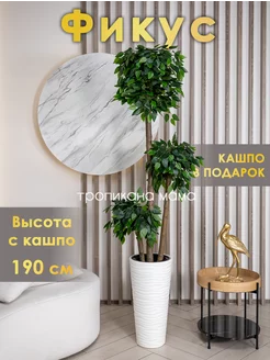 Искусственное дерево напольное, фикус Тропикана мама 75569079 купить за 10 899 ₽ в интернет-магазине Wildberries