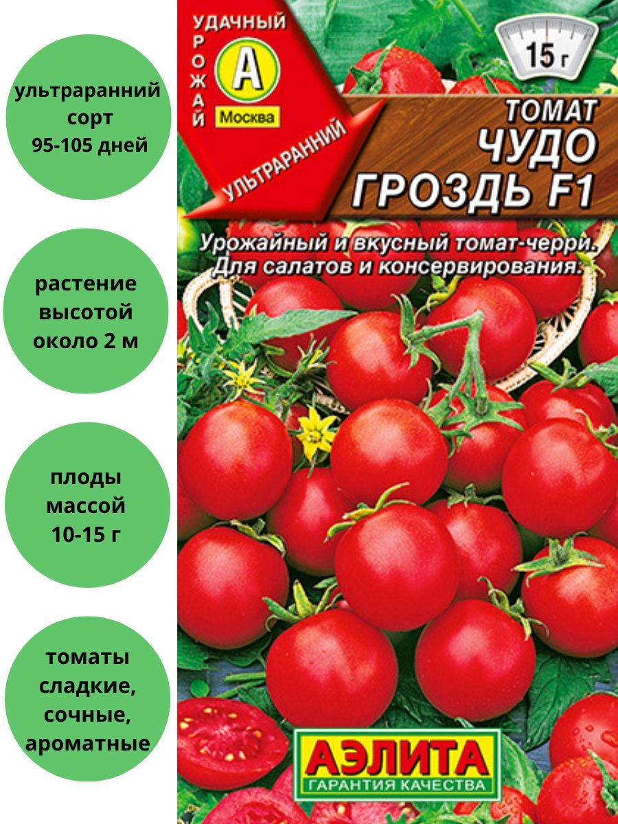 Сорт помидор чудо гроздь. Чудо черри. Дачное чудо помидоры. Фиолетовая гроздь томат описание.