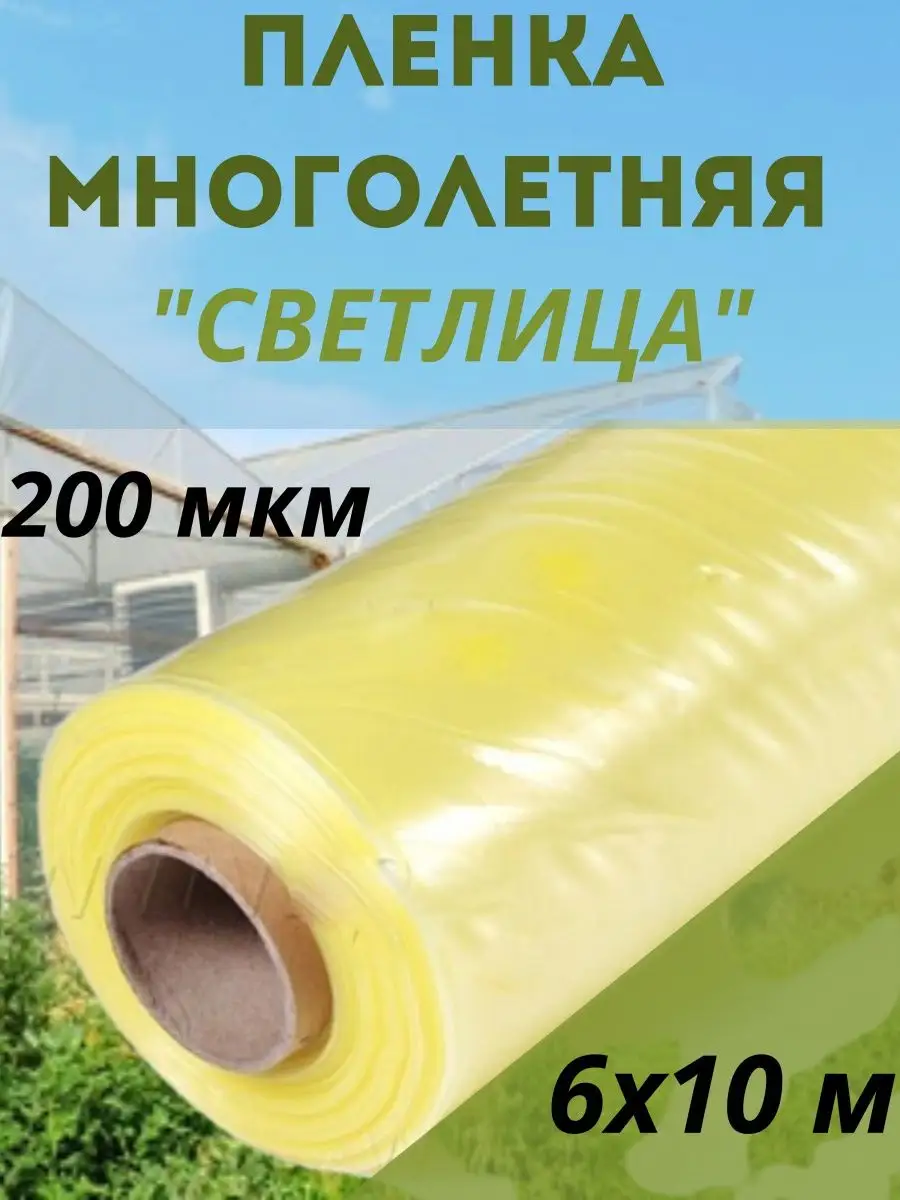 75618382