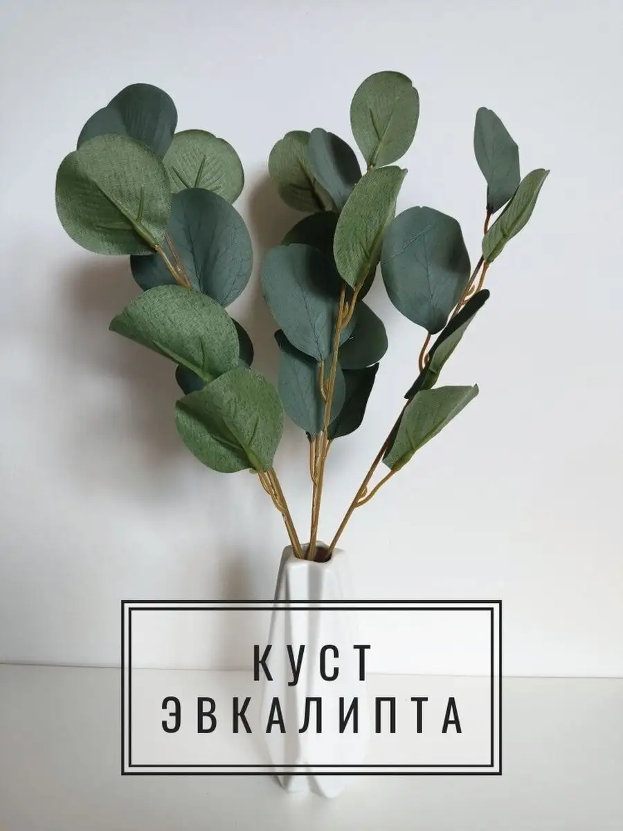 Куст эвкалипт, растения для дома A&Y decor for you! 75656242 купить за 301  ₽ в интернет-магазине Wildberries