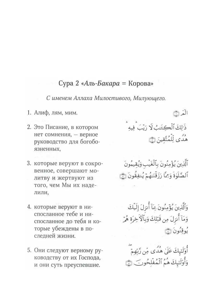 КОРАН смысловой перевод на русском и арабском языках, Кулиев БисмиЛлях  ЧИТАЙ 75709382 купить за 1 734 ₽ в интернет-магазине Wildberries