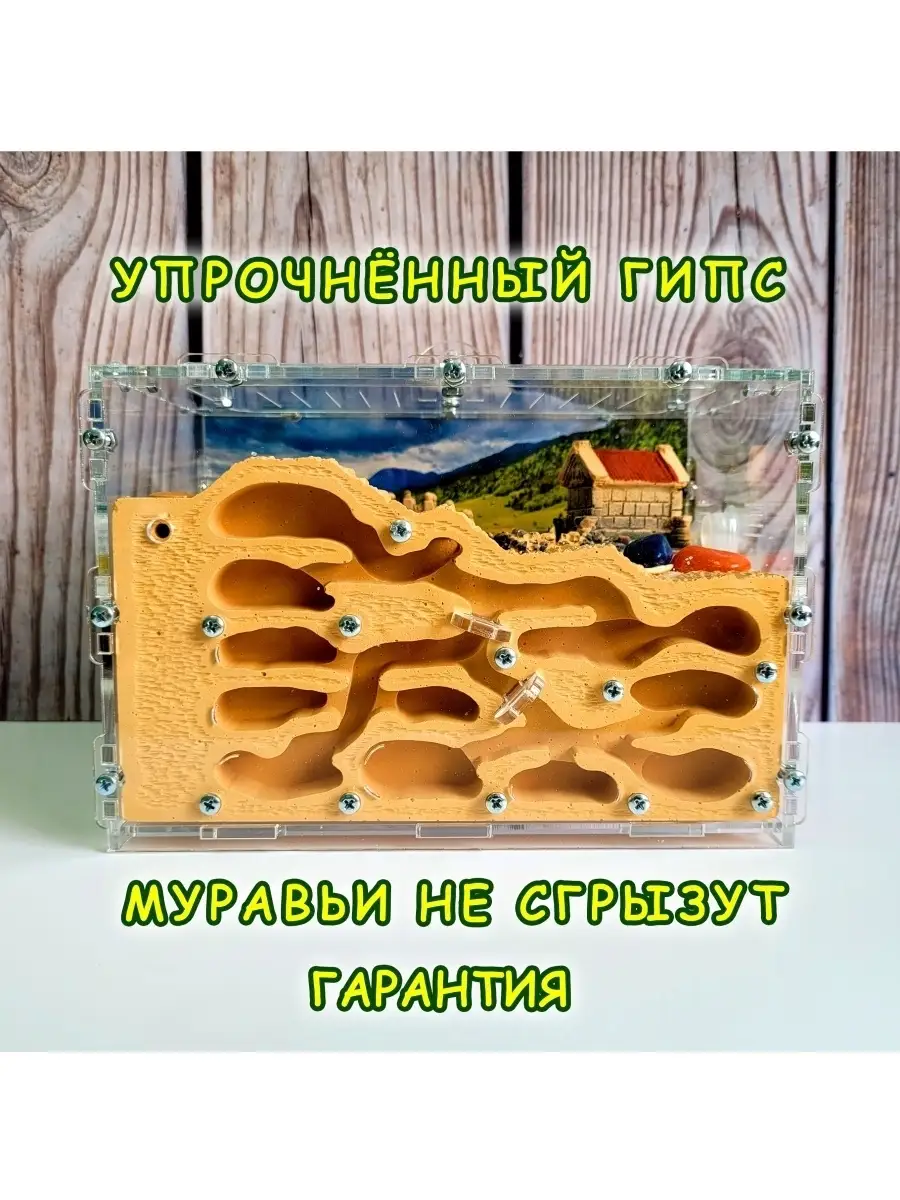 Муравьиная ферма Татищева 53