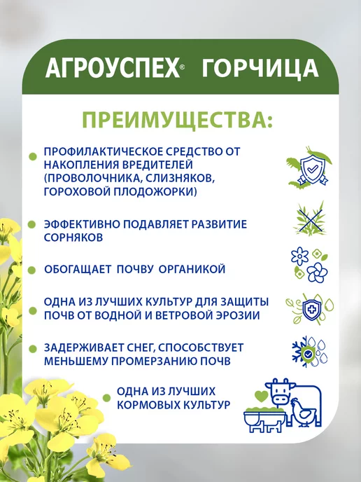 АГРОУСПЕХ Сидерат Горчица белая 1 кг, 1 кг, фото 2