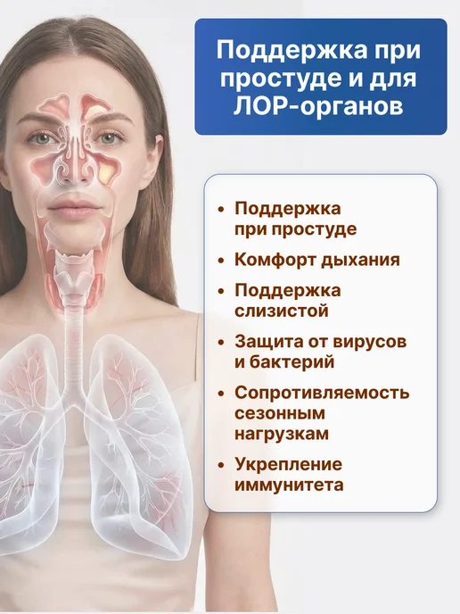 АЛТЫН СОЛОК Водный экстракт пчелиного прополиса, натуральная, вариант, фото 5