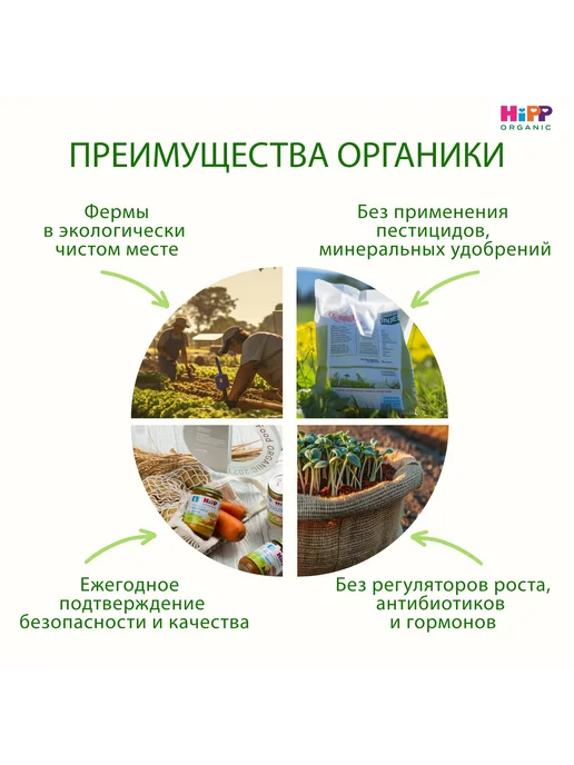 Hipp "Тыквенный крем-супчик", с 8 мес, 6х190г, 190 г, фото 4