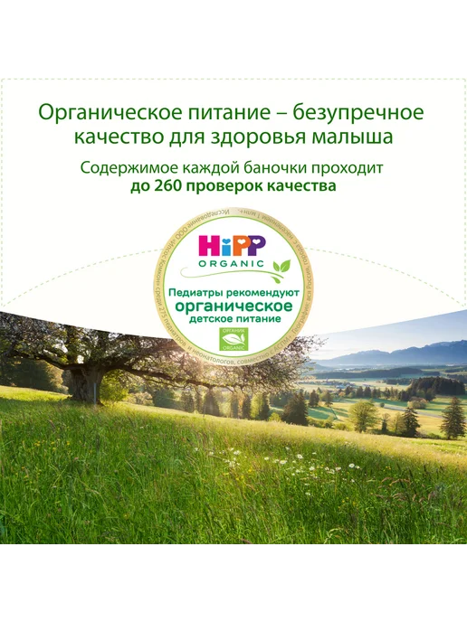 Hipp "Гороховый суп с говядиной", с кусочками, с 18 мес, 6х190г, 190 г, фото 3