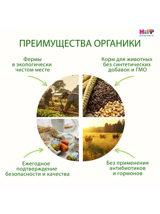 Hipp "Гороховый суп с говядиной", с кусочками, с 18 мес, 6х190г, 190 г, фото 4