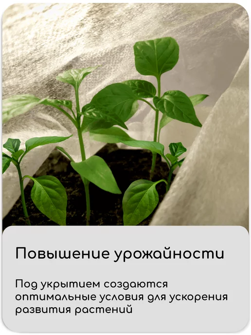 Greengo Укрывной материал спанбонд 60 белый, белый, фото 3