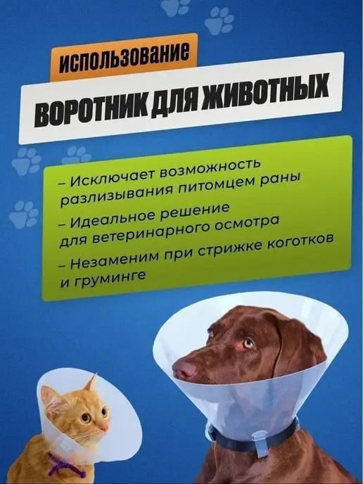 Храброе Сердце Ветеринарный воротник для кошек и собак, белый, фото 5