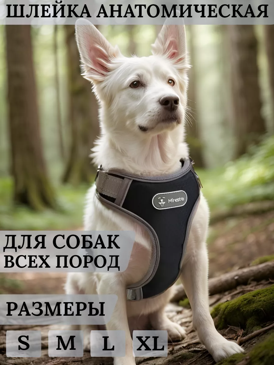 Анатомическая шлейка для собак прогулочная