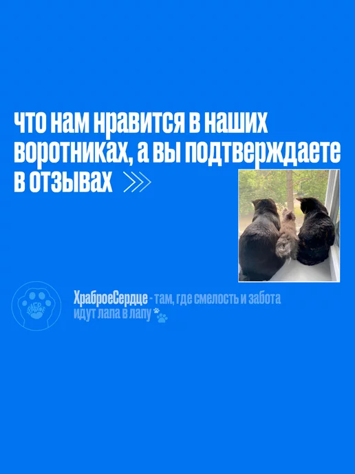 Храброе Сердце Воротник для кошек и собак на шею, черный, фото 3