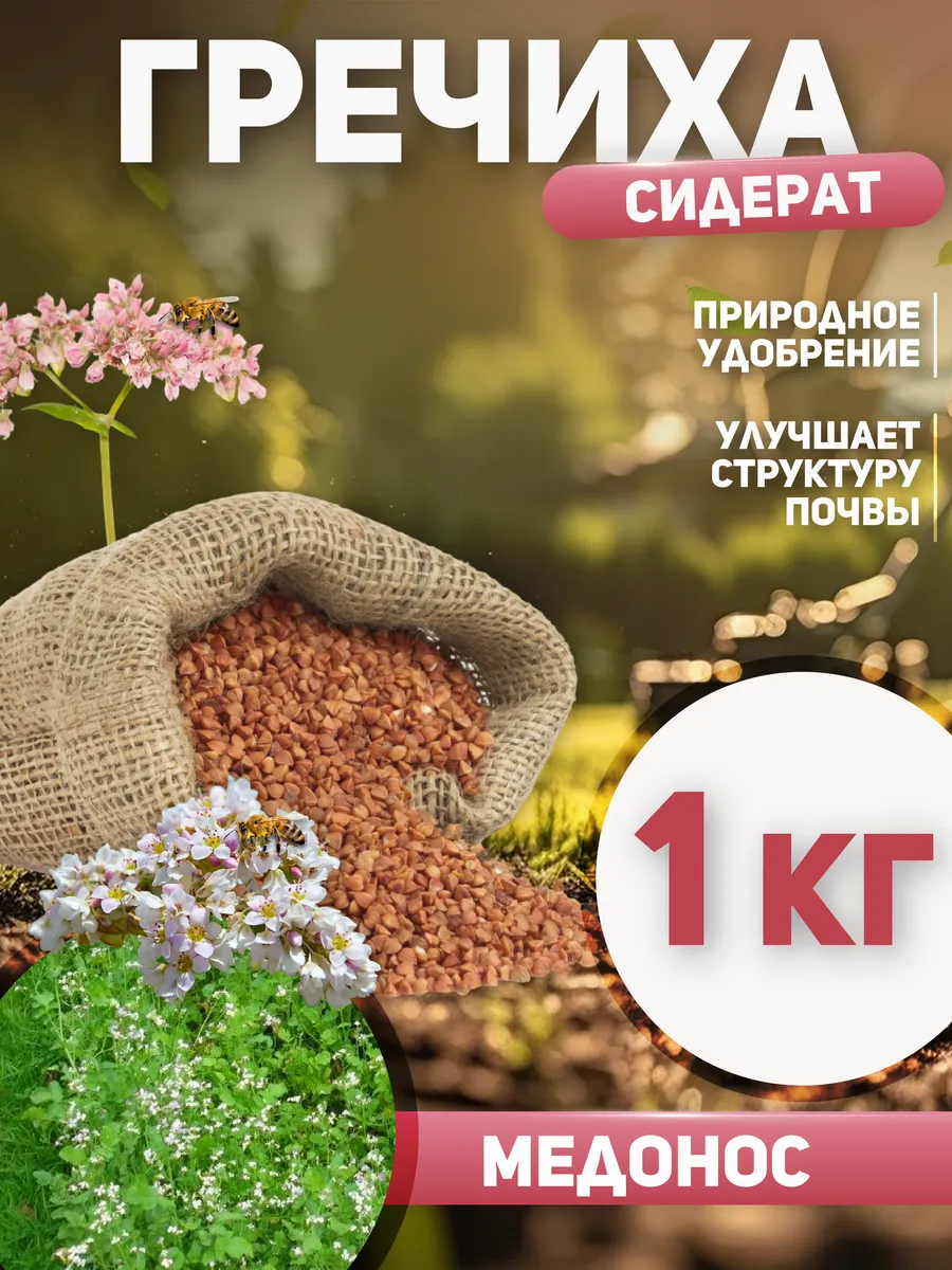 Гречиха сидерат семена 1 кг