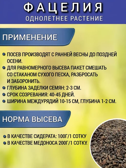 АГРОУСПЕХ Фацелия сидерат семена для огорода, медонос 0,5 кг, 1 шт, 500 г, 1 шт, фото 6