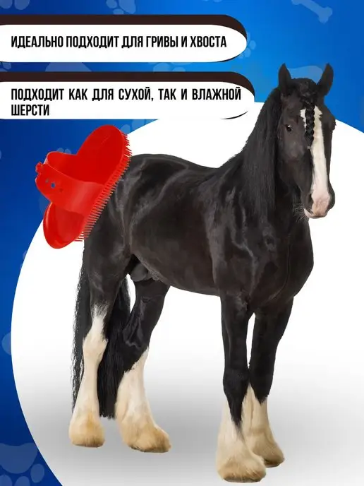 Sweethorse Скребница для животных, синий, фото 2