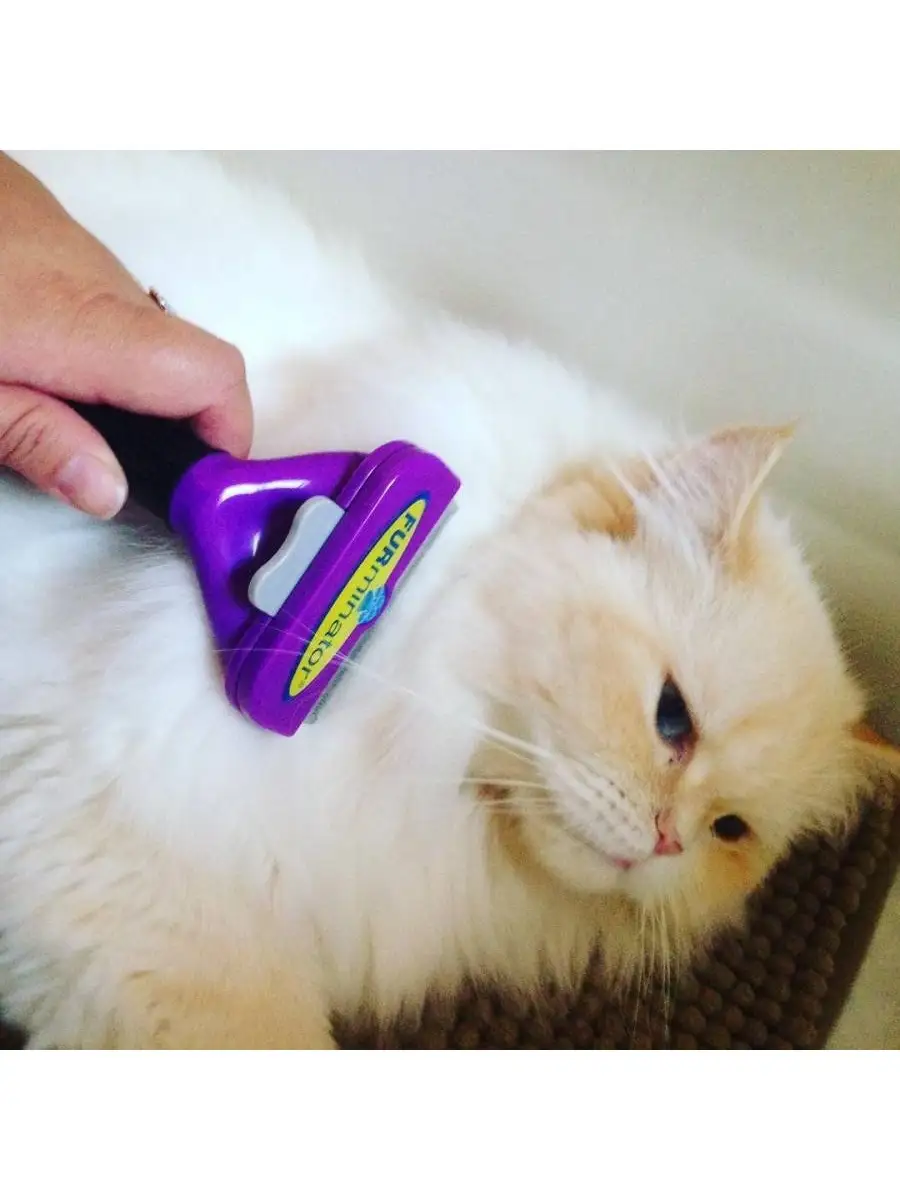 Для вычесывания шерсти фурминатор для собак. Пуходерка для кошек фурминатор. Расчёска для кошек фурминатор. Вычесывать фурминатором. Вычесывать фурминатором.