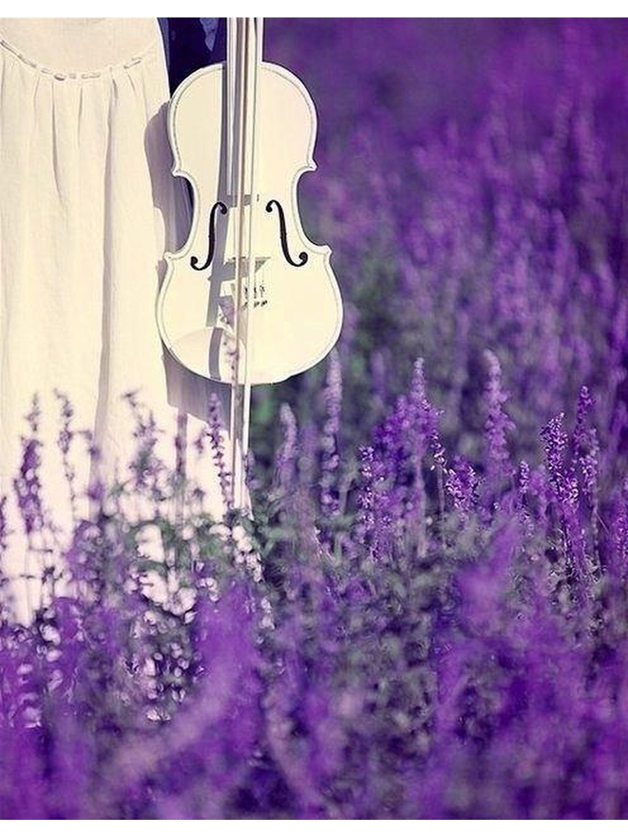 Скрипка в сиреневых тонах. Вдохновение цветом. Скрипка в цветах. Самая нежная мелодия