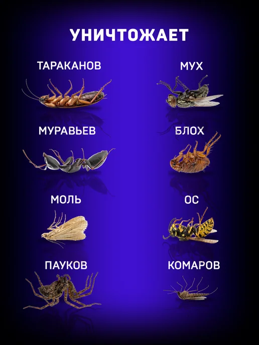 Раптор Средство от тараканов, мух и муравьев 2 шт, 2 шт, фото 2