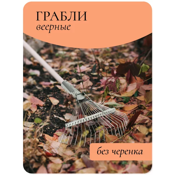 Грабли веерные металлические зубьев — 22