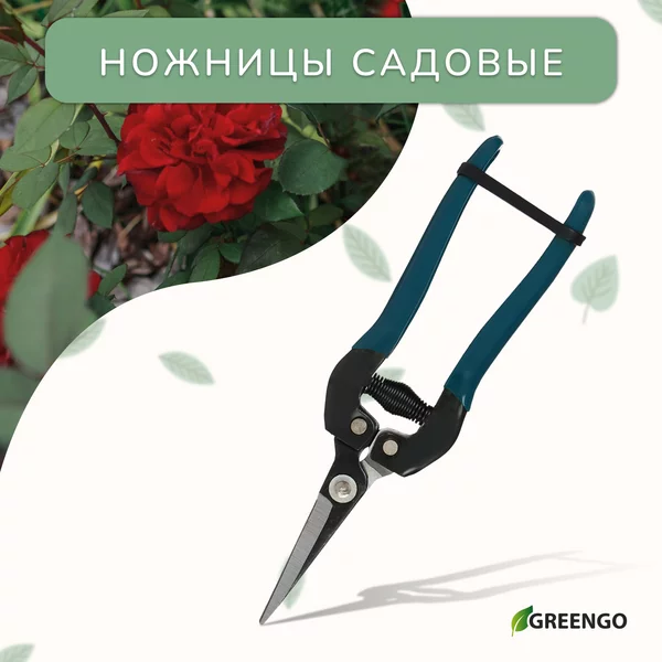 Ножницы садовые