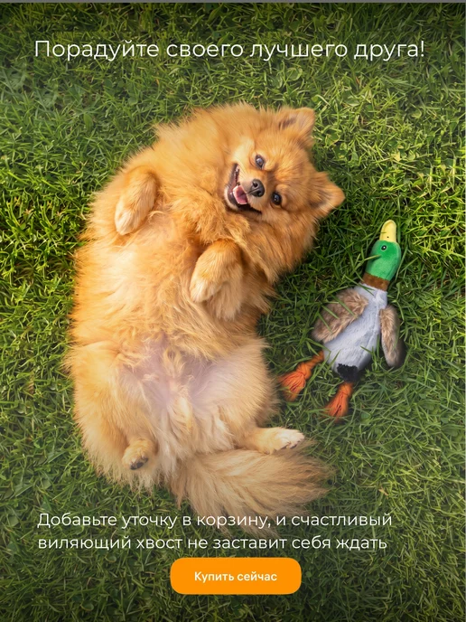 My Bro Игрушка для собак и щенков мелких, крупных пород - Утка, вариант, фото 7