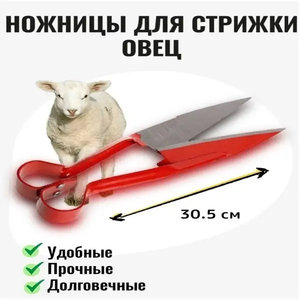 Ножницы для стрижки овец