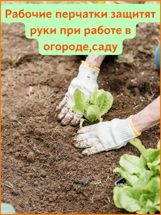 перчатки рабочие Лидер Перчатки для сада и огорода многоразовые прочные,5 пар серые, серый, фото 2