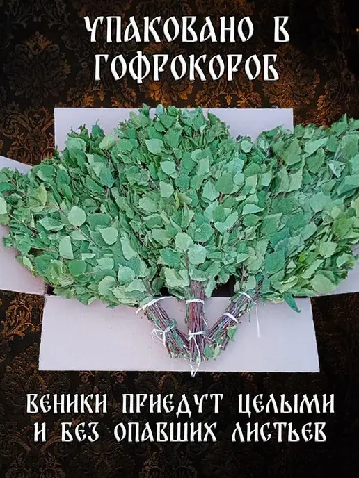веник для бани березовый банный сбор 2026, вариант, фото 6