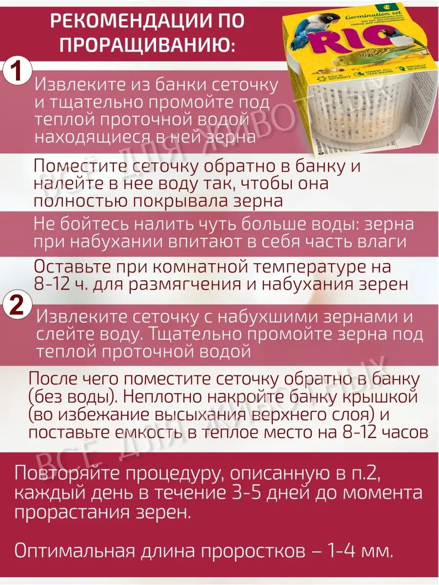 Набор Семена для проращивания для птиц витамины для попугаев RIO 76727053  купить за 275 ₽ в интернет-магазине Wildberries