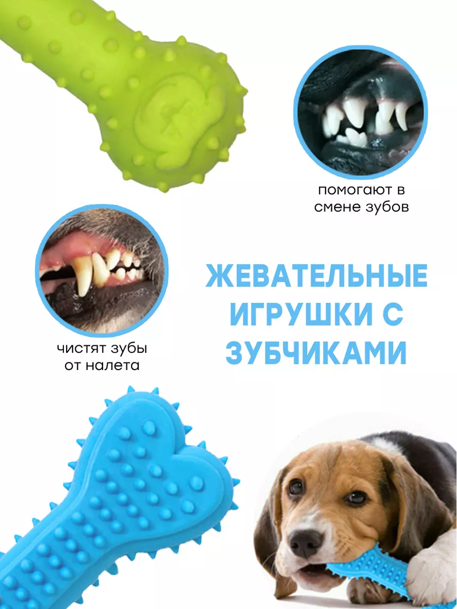 Игрушки для собак мелких и средних пород, для щенков набор Fan Pets  76764519 купить за 498 ₽ в интернет-магазине Wildberries