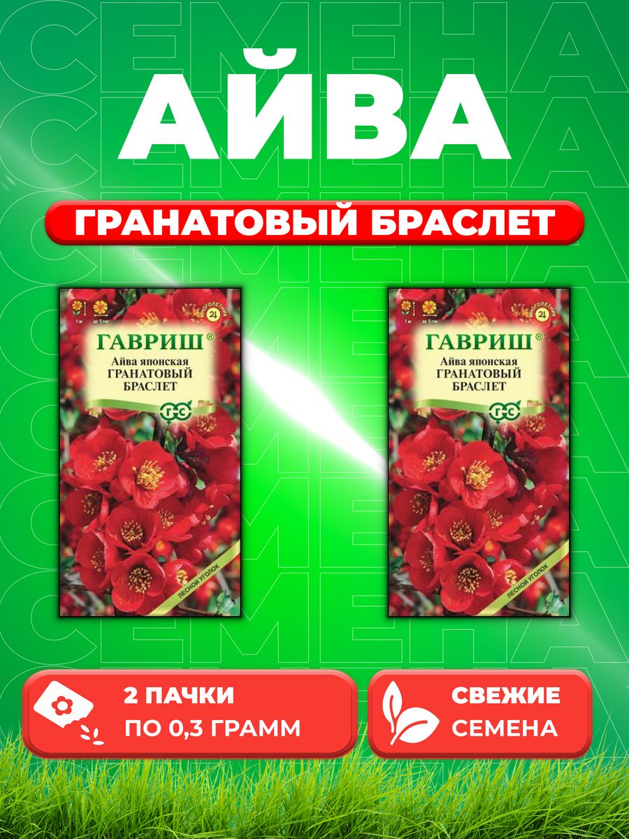 Айва японская гранатовый браслет Гавриш ц. Айва японская гранатовый браслет. Гранатовый браслет айва японская описание и фото.