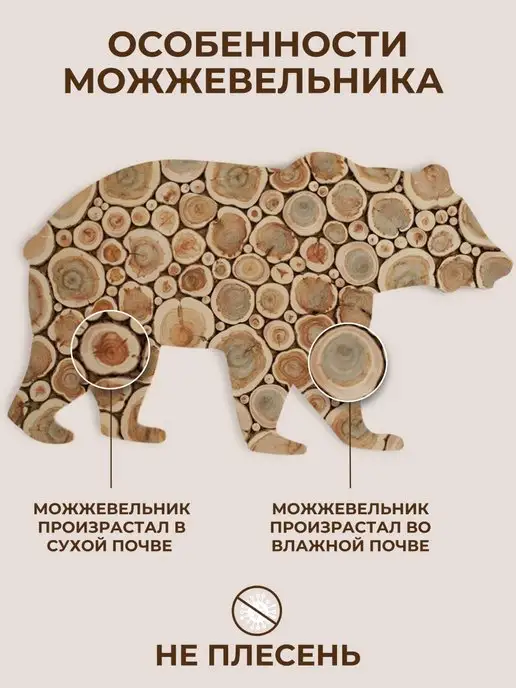 SPILCOMO Панно из можжевельника, вариант, фото 4