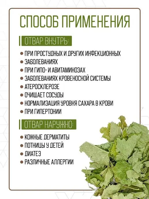 FreshUral Смородина лист сушеные для чая, вариант, фото 2