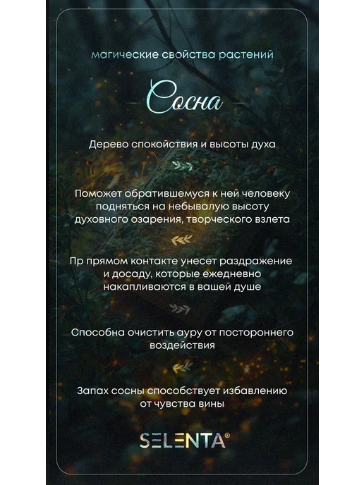 Selenta Эфирное масло Сосны Водо. 30мл, 10 мл, фото 3