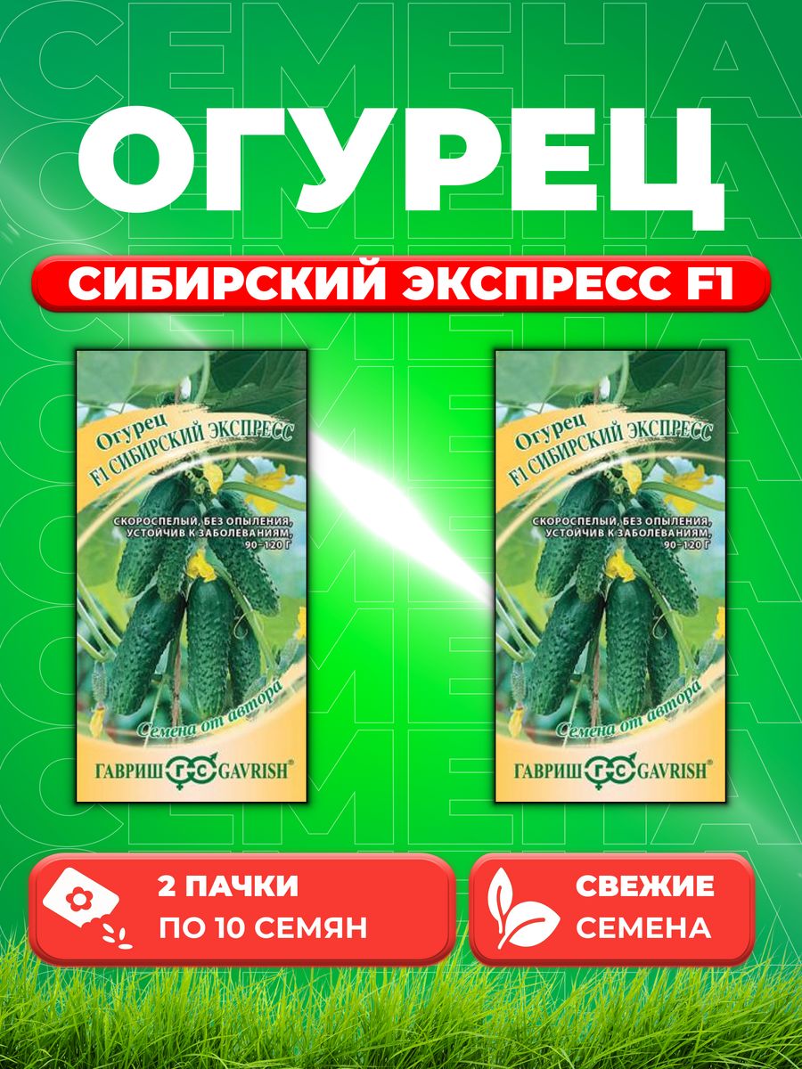 Огурец экспресс