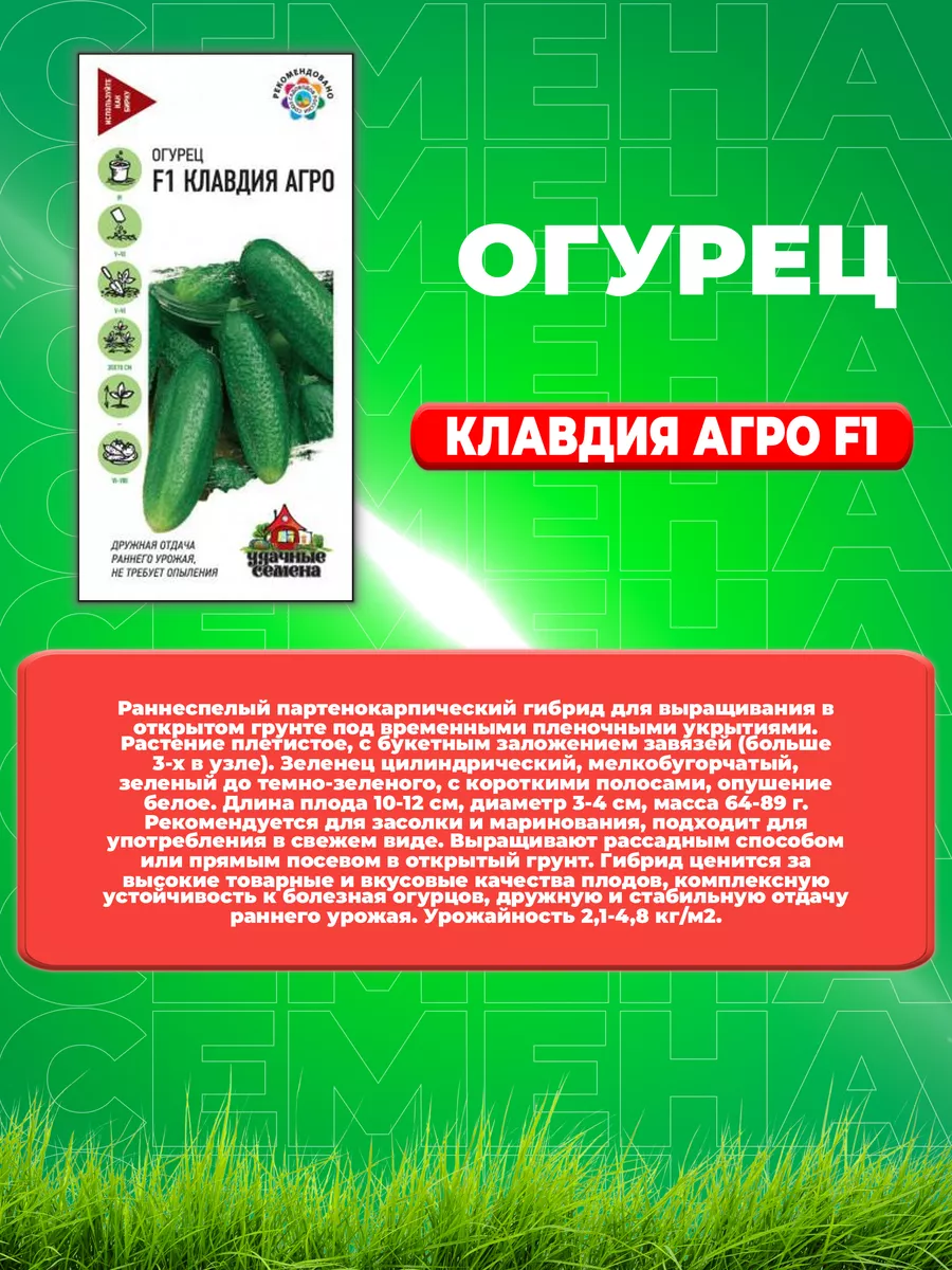 Огурец Клавдия агро F1 10 шт. Уд. с. (2уп) Удачные семена 77004184 купить  за 167 ₽ в интернет-магазине Wildberries